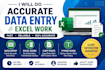 do data entry and exel work professionally