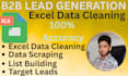do b2b lead generation and excel data cleaning expert