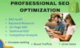 do website onepage SEO, technical optimization
