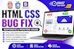 fix HTML CSS bugs, responsive issues and website layout problem