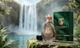 a luxurious and professional perfume packaging and logo