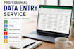 do accurate data entry, copy paste, excel data entry and web research