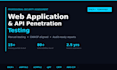 do a professional web application and API penetration test
