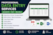 do accurate data entry, excel data entry, copy paste and PDF conversion