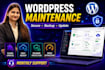 provide website maintenance, updates, and security