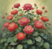 do a botanical illustration