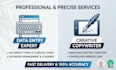 be your expert data entry clerk and creative copywriter