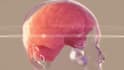 create 3d brain computer interface bci and neural implant animation