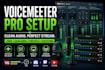 configure voicemeeter banana professionally