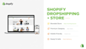 build a branded shopify dropshipping store ready for sales