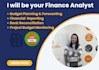 provide financial analysis, budget planning, financial reporting