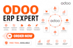 do odoo module development, website design, odoo customization and integration