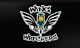 design top quality classic waterfowl logo