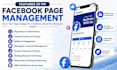 professionally manage your facebook page and group