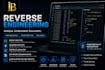 perform professional reverse engineering and software analysis