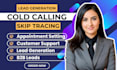 do b2b b2c cold calling, appointment setting, virtual assistant
