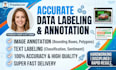 high quality data labeling, data annotation, and data entry
