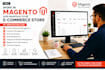 provide professional e commerce store management