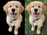 remove the background professionally