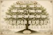 create a professional custom family tree design