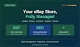 be your ebay store manager and virtual assistant