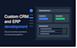 develop custom CRM software, erp and web applications