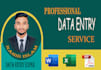 do excel data entry, copy paste and website data entry tasks