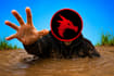 design professional youtube thumbnails