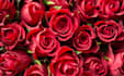 be your love coach expert