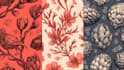design unique seamless pattern for textile fabric prints