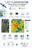 do land use land cover lulc classification from satellite imagery using gee,py