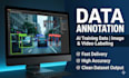 do data annotation, image labeling, bounding boxes