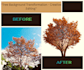 do professional background removal and photo retouching