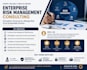 provide enterprise risk management consulting