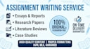 be your professional assignment writer
