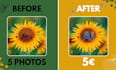 remove backgrounds and enhance photo quality with ai