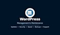 manage, maintain, optimize, and develop your wordpress website