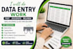 provide data entry service