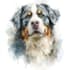 draw watercolor pet portrait