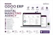be your expert odoo developer and consultant