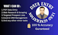 do excel data cleaning, shopify listing and lead generation