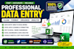 excel data entry dasboard create