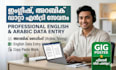 do professional english and arabic data entry and copy paste