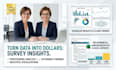 deliver qualitative and quantitative data analysis