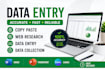 do data entry, copy paste and web reasearch