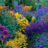 do your landscape design