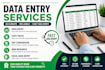 data entry, copy paste, typing and PDF conversion