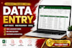 be your virtual assistant for data entry and web research