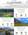 design professional business infographics