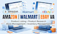 provide amazon, walmart and ebay VA services